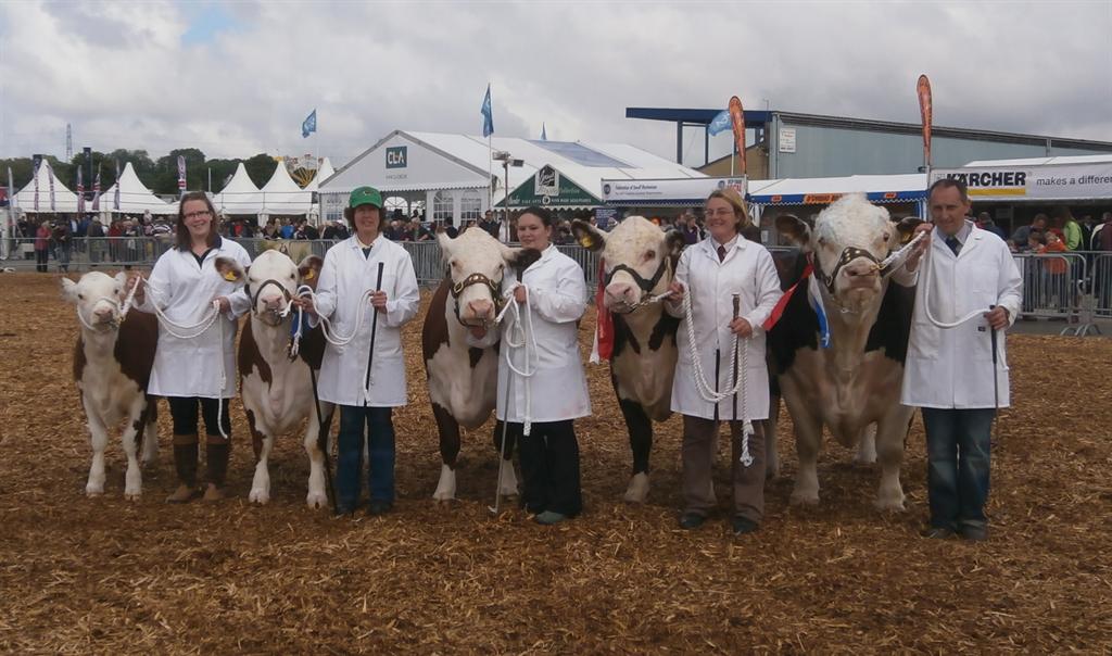 South West Hereford Breeders clean up at Bath & West Show